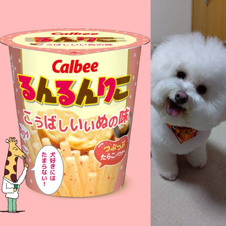 380b9fe6 ad65 4b84 aed7 61fde9de3f5f 1635324470698