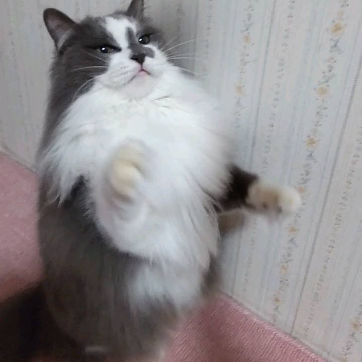 380bd6c6 2772 4ef0 becb 50d4c23b4a36 1649068938134