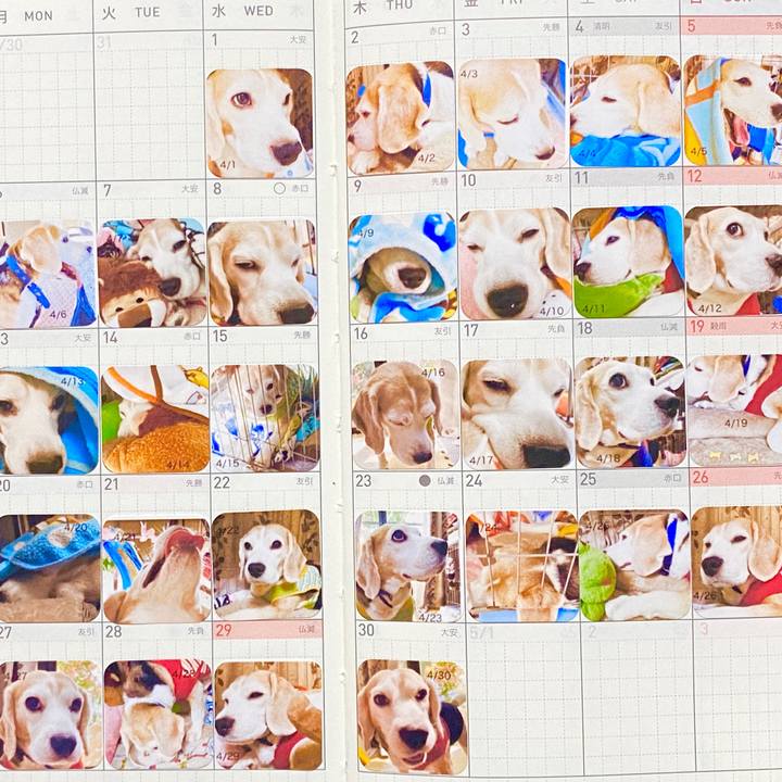 380c13f6 a00b 4cfa a056 344f9d114b50 1589155155039