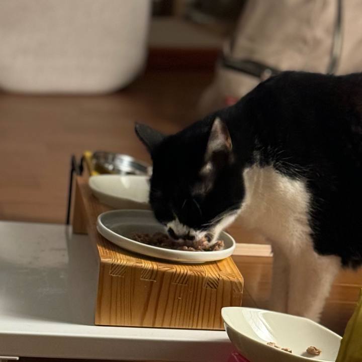 380c2a0e cdb3 452e ae59 19cea0ee773b 1729603621526