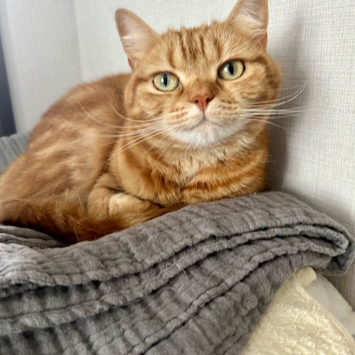 380c39c3 b137 4e58 bb86 20f78e4db9f2 1712484609222