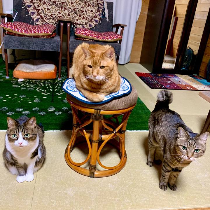 380c43a4 1663 4a17 a6b0 f96e68d7c118 1628338030713