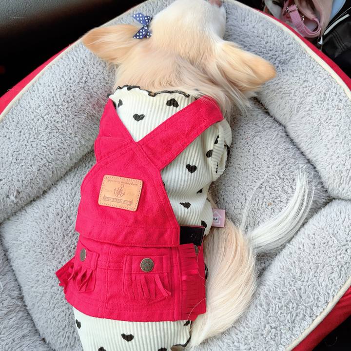 380c5278 9740 40e7 8abd c66d11484401 1710921537415