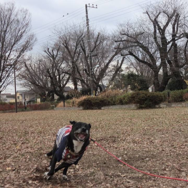 380c8dac e2fe 4a8f 8b5f 0395dc3d0a26 1702691656310