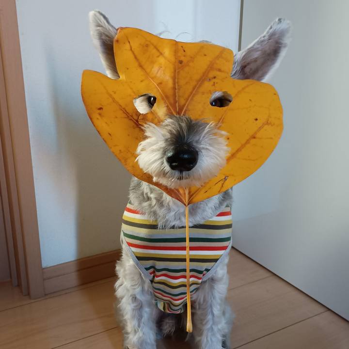 380cb1e1 2251 4b83 ae75 e3dd4735f5a1 1763622074798