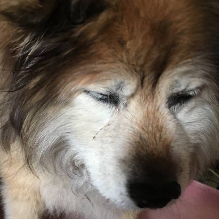 380d1e91 d442 4665 afff 022b1e9f4035 1612720906169