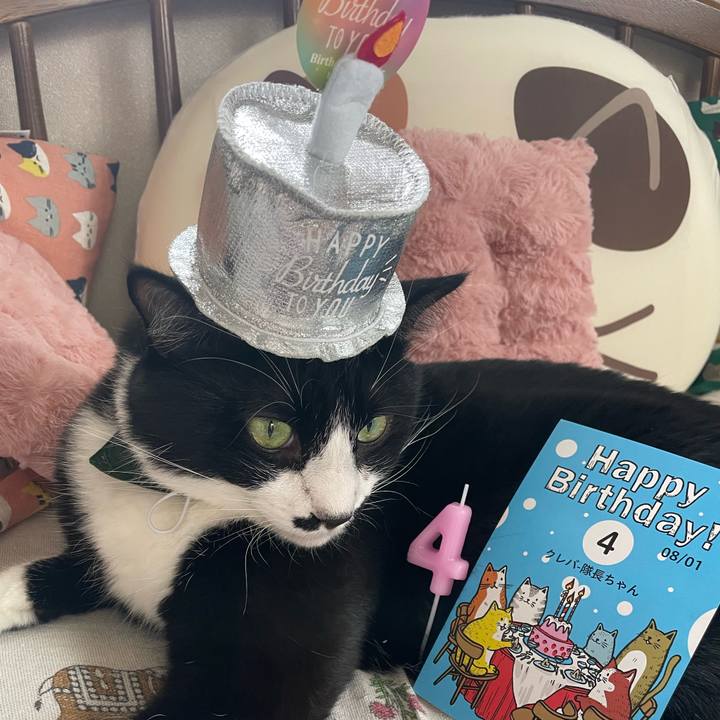 380d2232 759b 4560 80d3 05a7c20872c0 1724819914005