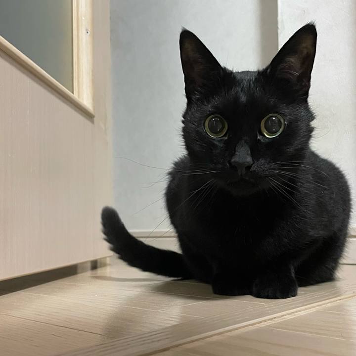 380d3bd0 a922 420b 8f0a 0f242a4e5c38 1746190021380