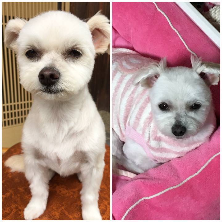 380d6a91 c556 40ed 9728 f3da319b6691 1511149795532