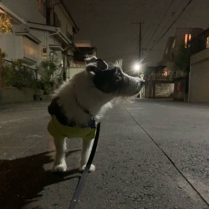 380dd854 2f4c 44e3 93b1 bd34cf7c3d03 1730810278801