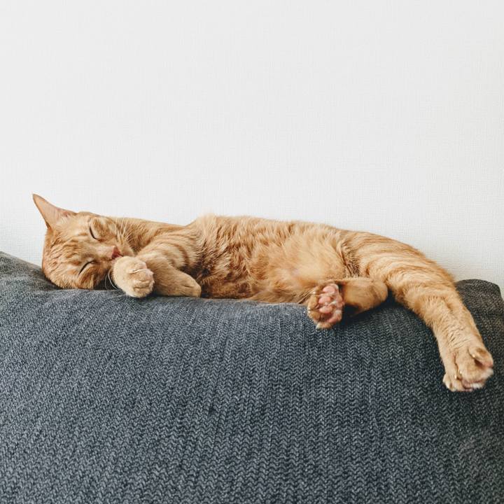 380ddb54 2a3b 4e3b b7b8 e34fca62b7bd 1628330412219