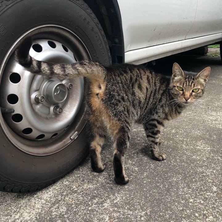 380e03da b1aa 4aa6 a236 83dcca238bf6 1530957175469