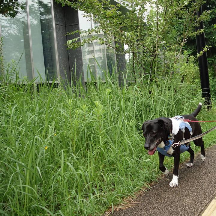 380e1db8 8d23 4b66 a16c 1ca9625e2754 1721521673690