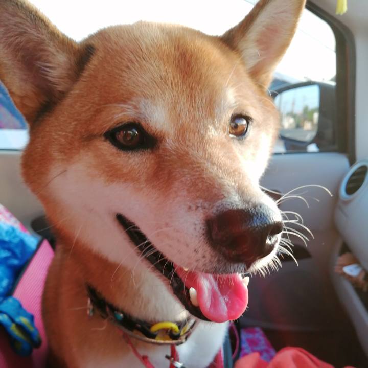 380e5ae1 4fb4 41d3 86b3 b0bf6332e670 1601550901995