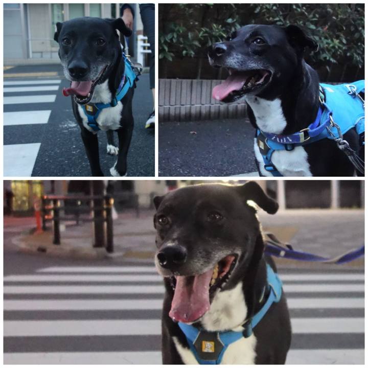 380e5fc5 f60f 4962 af9e 387f00e44466 1692010784773