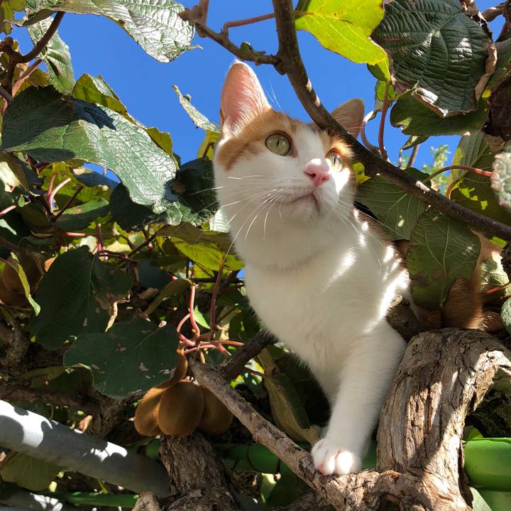 380e7cdf 238c 4bf3 a037 508da000b545 1538364292586