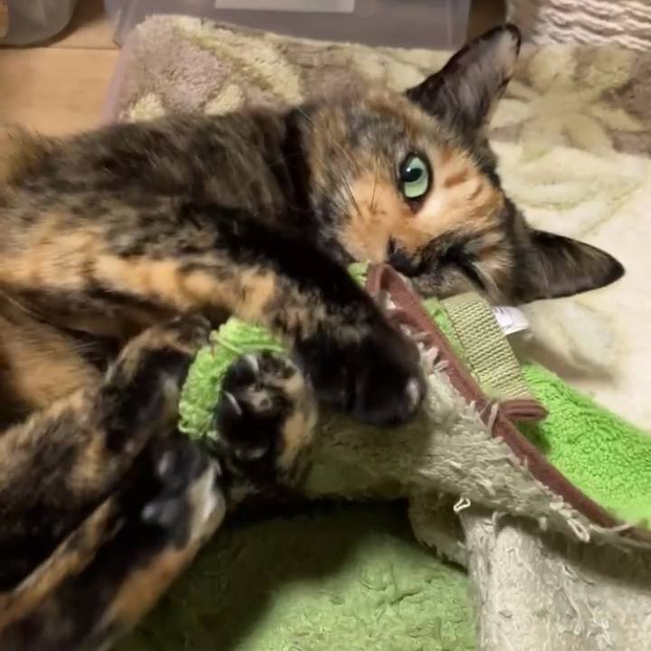 380e7d12 21ba 454b b678 35dafef3054b 1736628134337