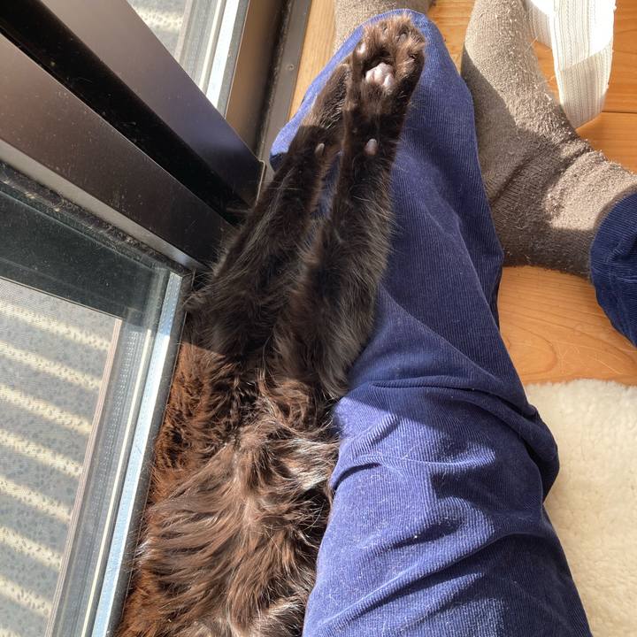 380e87ba de7d 496a b6cb e5507d91b3e0 1738212572971