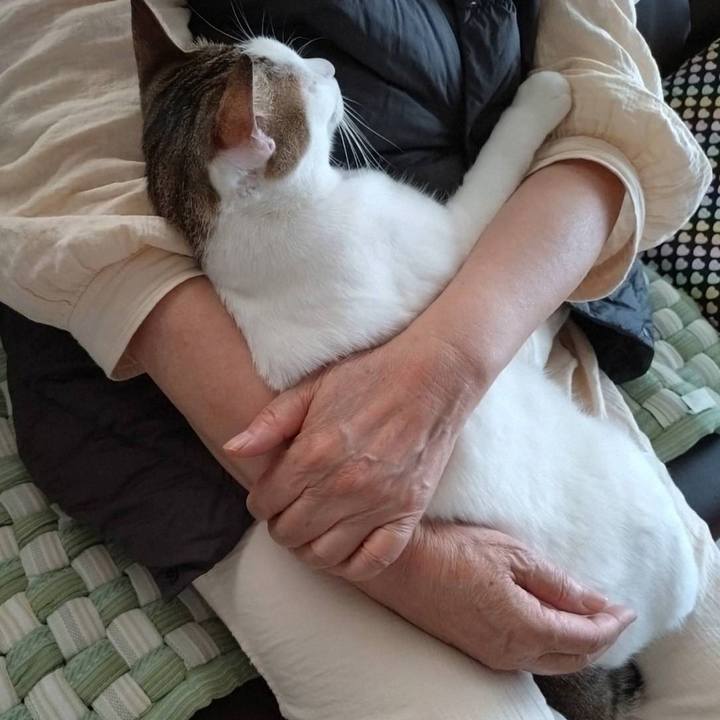 380e94e2 e450 428e a688 98c9ce5512e6 1748846744778