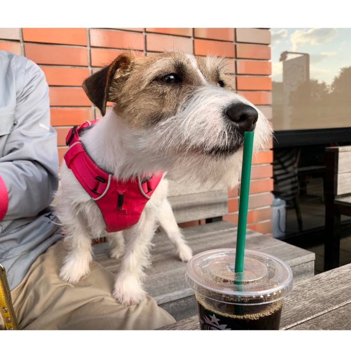 380efab7 e32f 4fa1 84ca 8570b617fca9 1584015583080