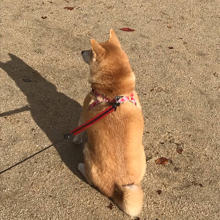 380efae6 5e55 45ca ada5 944acf1067ca 1545036215570