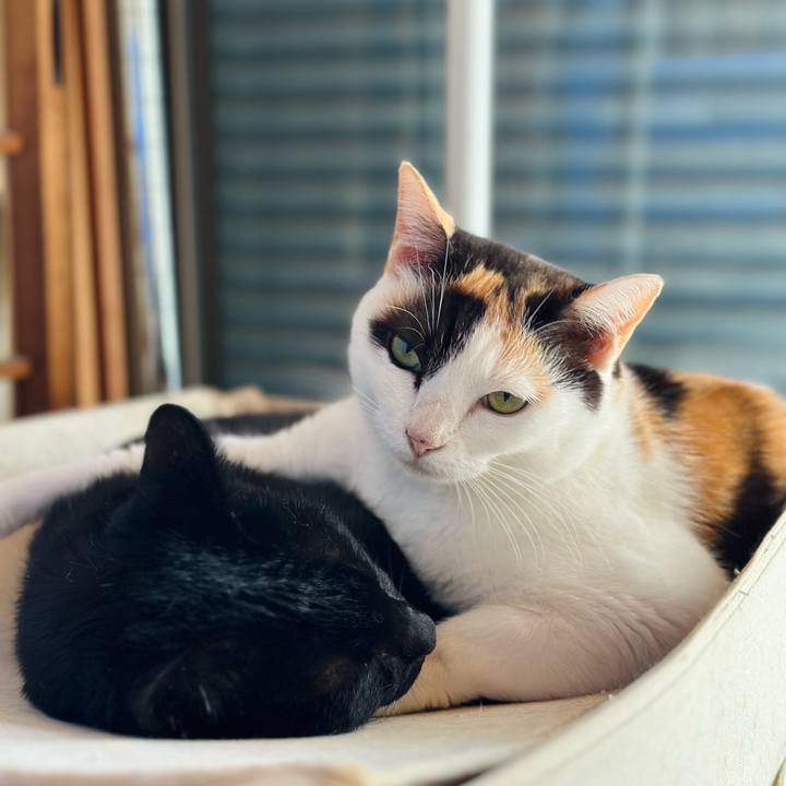 380f0f6c c7e5 4689 9c81 733693633d37 1667095471808