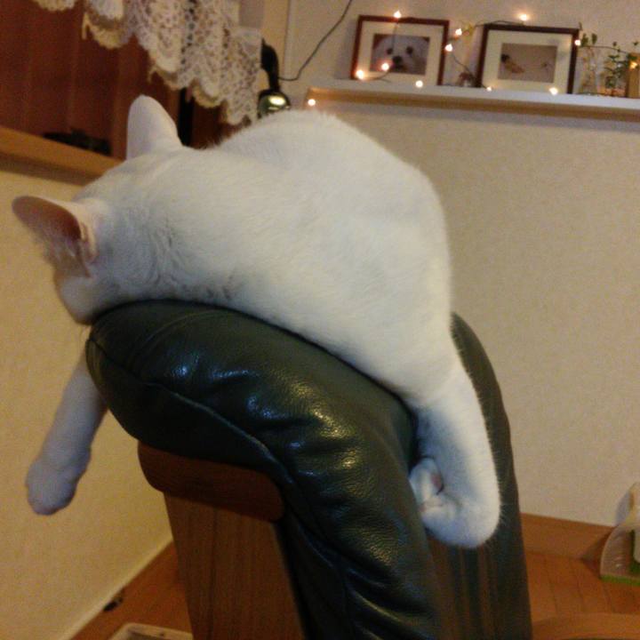 380f3561 5393 4e1f bf5e 549505a2886c 1513333177436