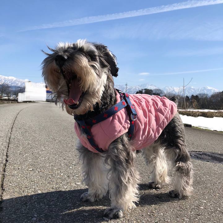 380f57ae d9a0 4f6e b7bf d0e495604120 1613278018954