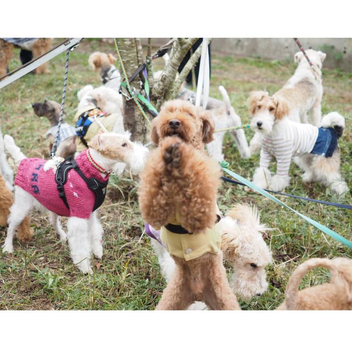 380f6241 0996 4745 b19b e849917dab8f 1572788459208