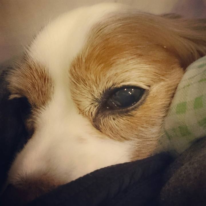 380fe732 0811 42a8 b597 cbfb60271e2c 1516106126319