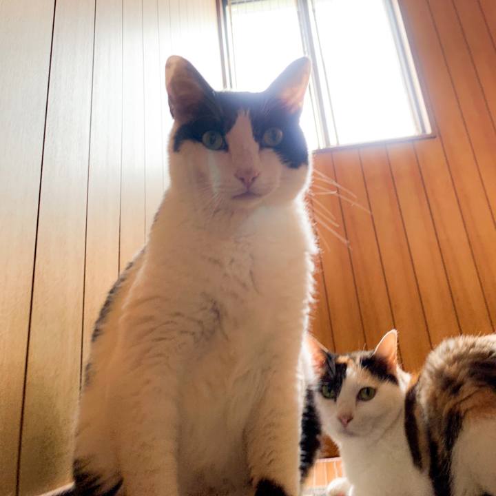 3810187f 8d3a 403e 94c6 ca6e94e21bd3 1564707588939