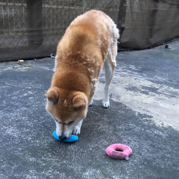 38104eca 5d3f 40a8 a0dc 092c69f06087 1515042132275