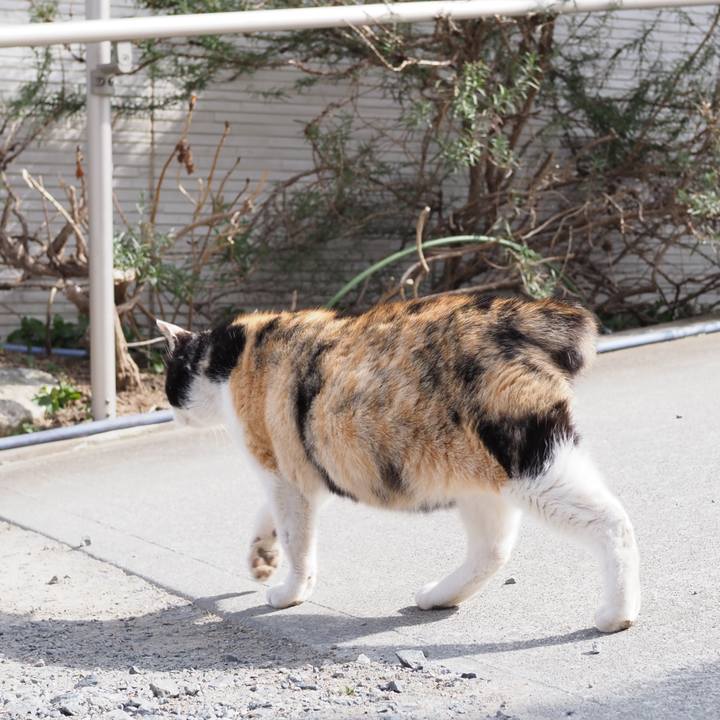 381089c1 8188 4eaa 8a03 e34f25ca9f5a 1646454763544