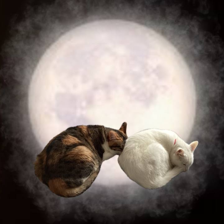 3810908c 0139 47b6 b772 dc03dc527a9b 1726651339869