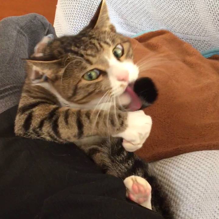 3810b1fd b7e2 4c1b 8337 d84844d9e4dc 1703902093611