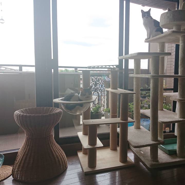 3810b88e 99d4 4350 b965 1c6443893b35 1630990148430