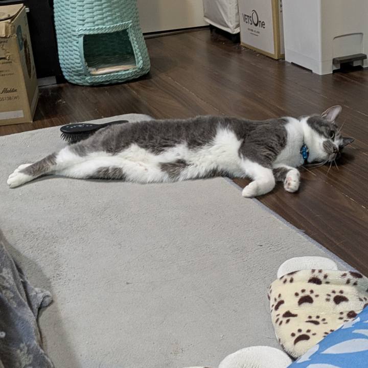 3810bc3d 3b08 4fef a488 bee658339896 1774016152706