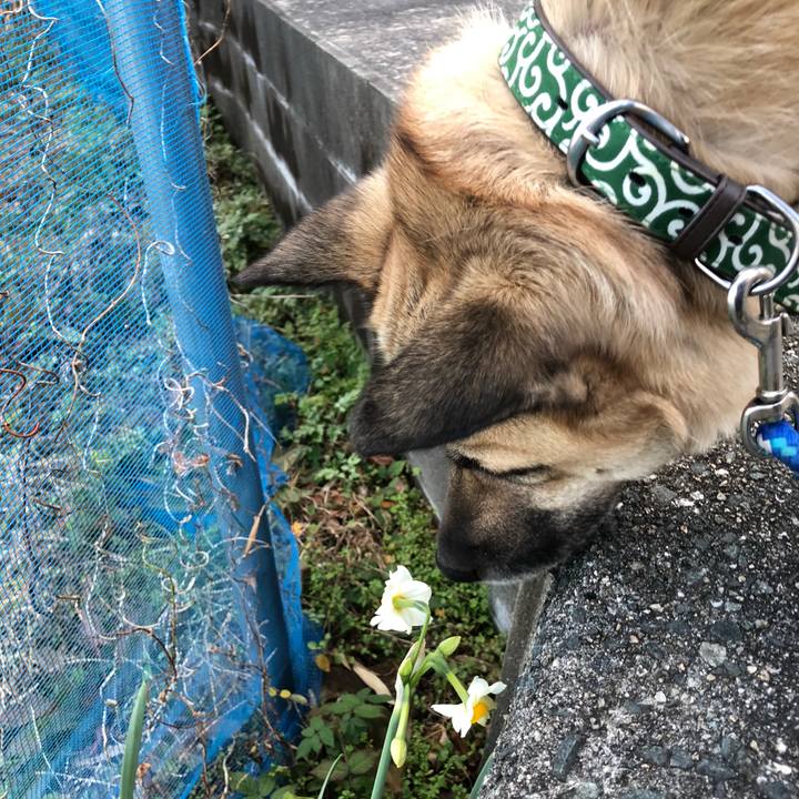 3810c53e afb5 42b6 beca 65448067f179 1547552555522