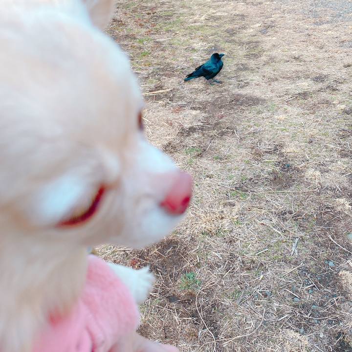 3810c8fb 928f 4704 bfff 1f644a1114ca 1645001660916