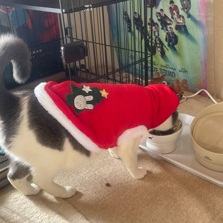 3810cb92 443f 4788 8c43 561fead473a8 1735091204725