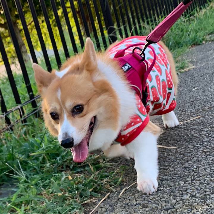 38111901 efdf 4285 8543 1b768a5e317f 1598477861167