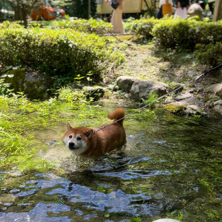 38113101 a0e3 490d 82c1 66fd6cc1247d 1659265579415