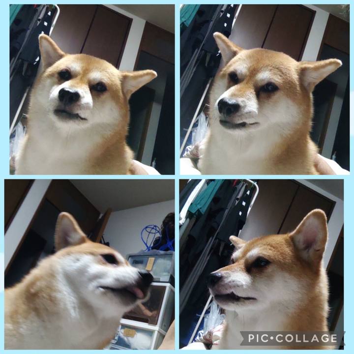 3811776a f41c 4991 be54 5664f8a1f6a6 1758501192855