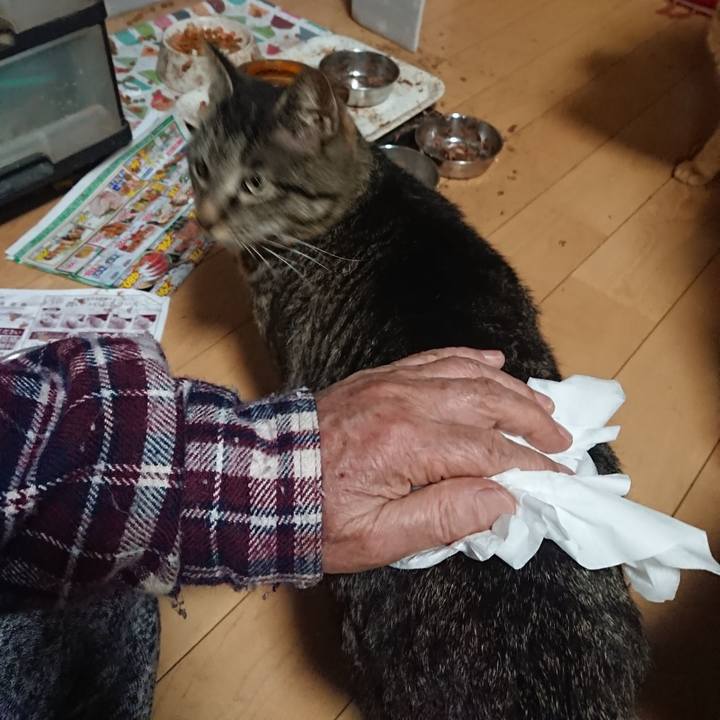 3811bc4d 0aaf 4bff 8da4 710cb1c17230 1649066273212