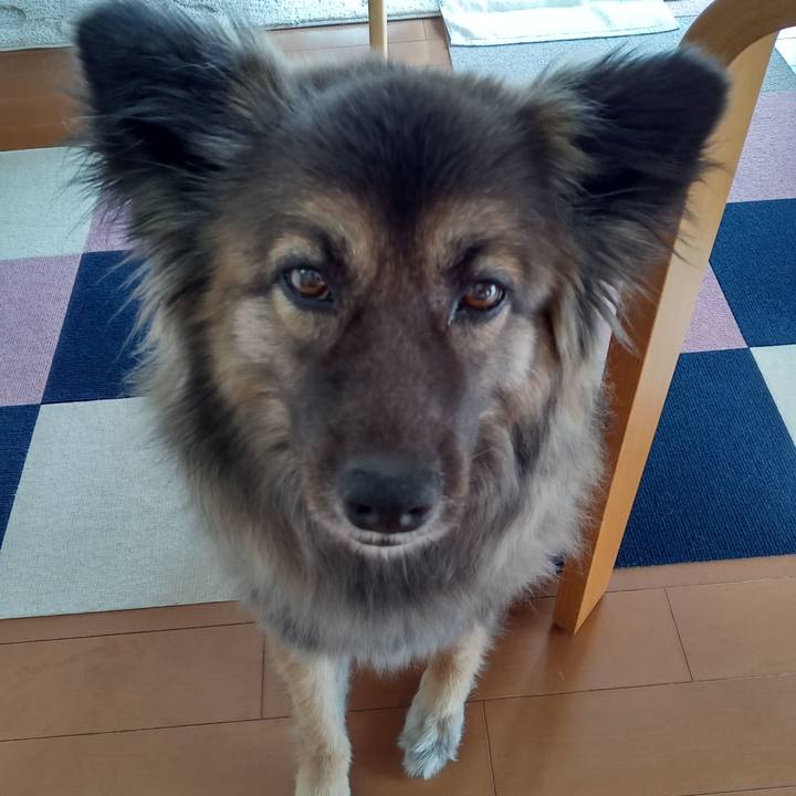 3811cd2c f722 4716 9909 3d4e538b2fcd 1772934891646