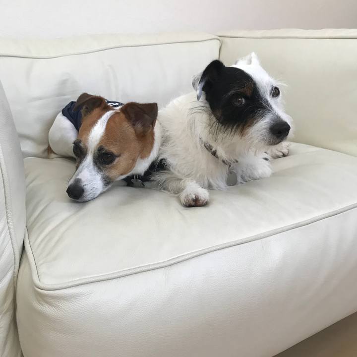 3811d388 2843 42a6 b7cc 9a620689573b 1535691250615