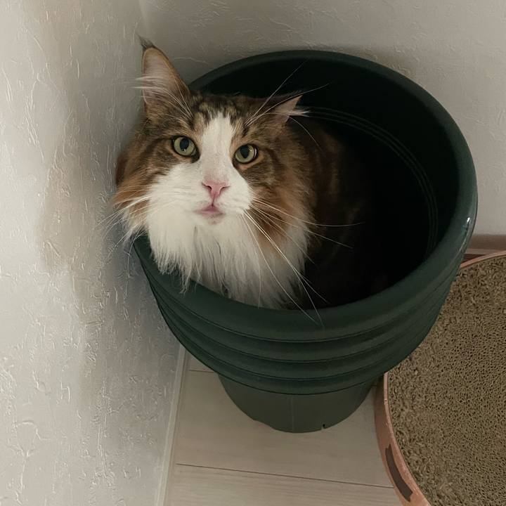 3811e326 47c0 4db1 b0c4 902abbe55484 1753651267526