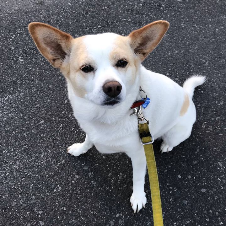 38122b23 4dd3 4792 b469 5078b2a13074 1651463572170