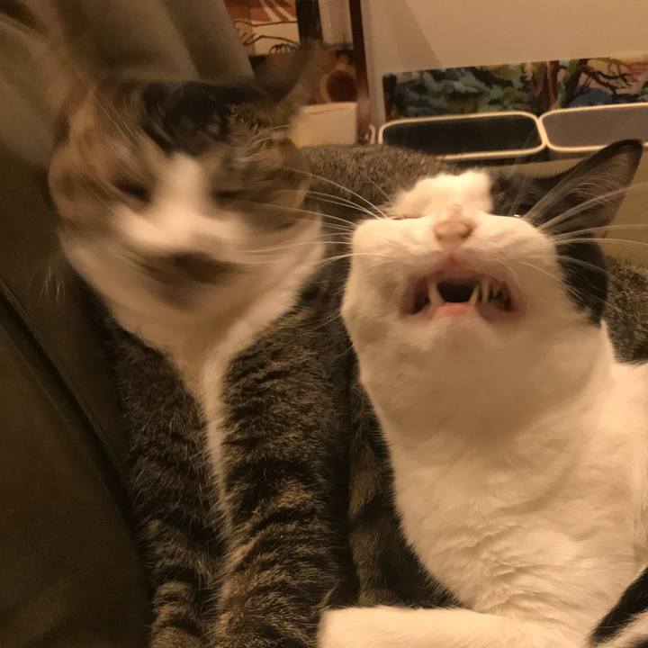 3812507b 1439 4e70 969f ad7706d7c1cf 1535630409474