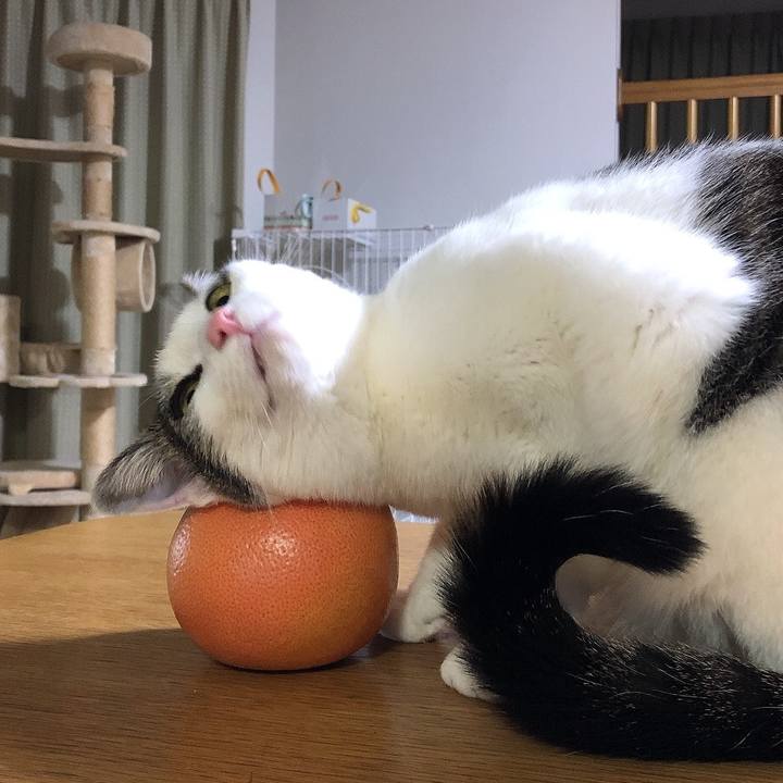 38128655 b483 4646 b3f7 c9f16fcaa5d6 1677496940478